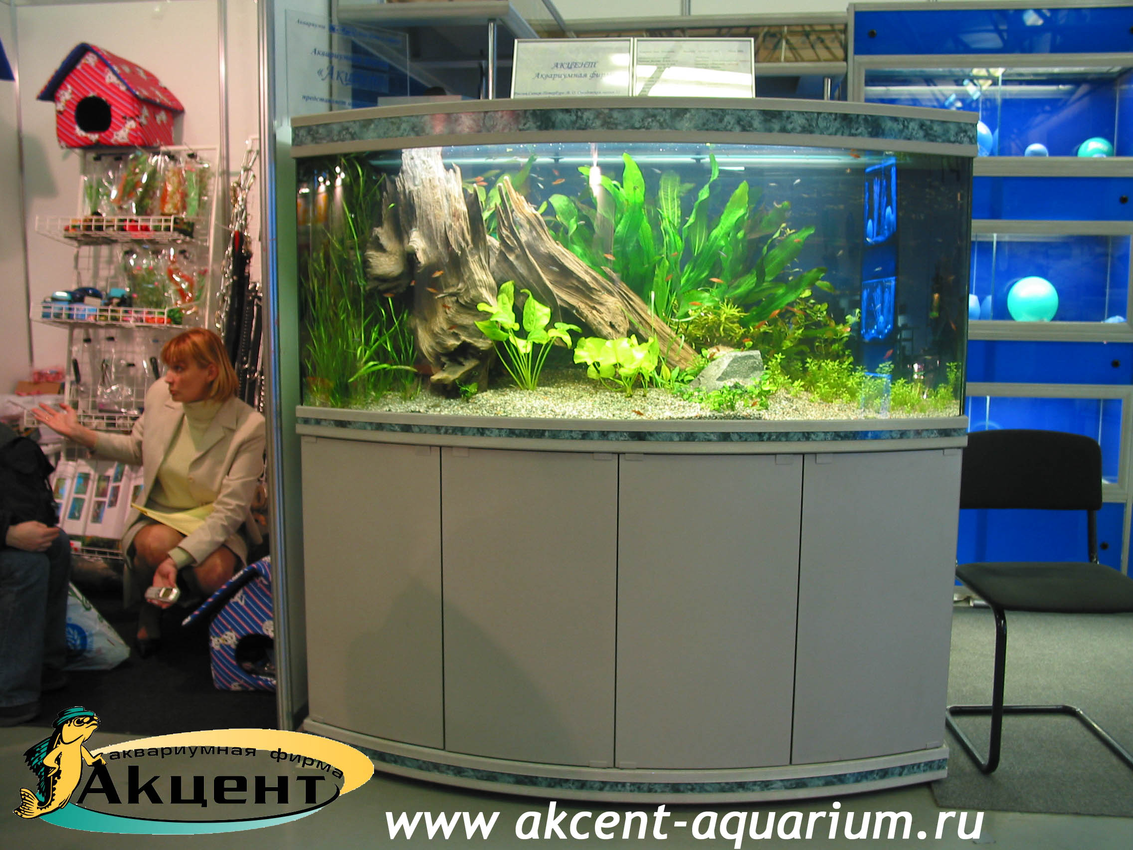 Акцент-аквариум, аквариум 600 литров, выставка зоосфера